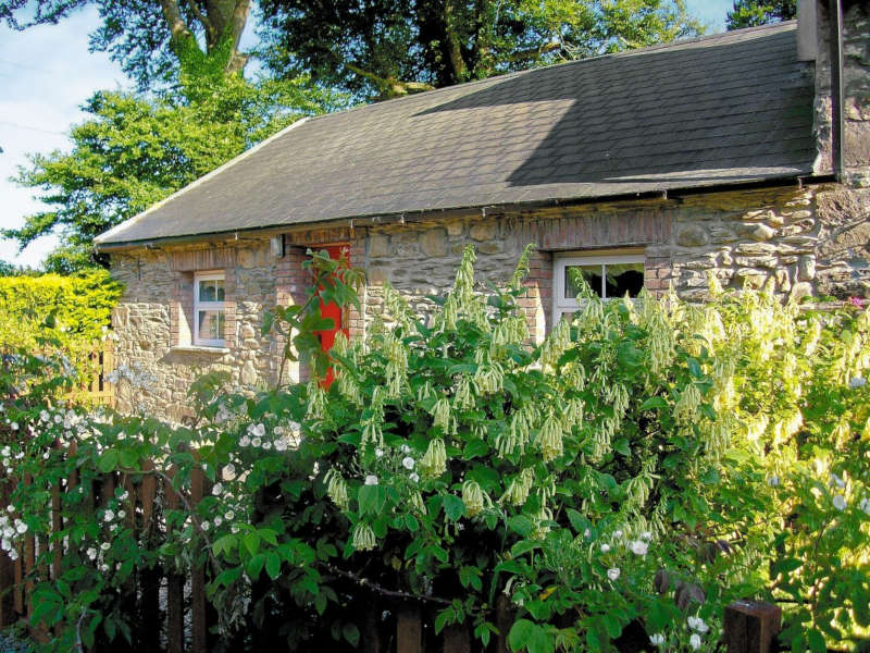 Disabled Holidays - Mill Cottage - Owners Direct, Ireland